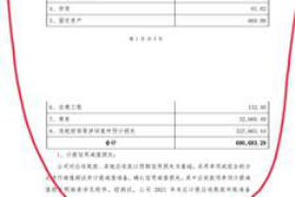 范县遇到恶意拖欠？专业追讨公司帮您解决烦恼